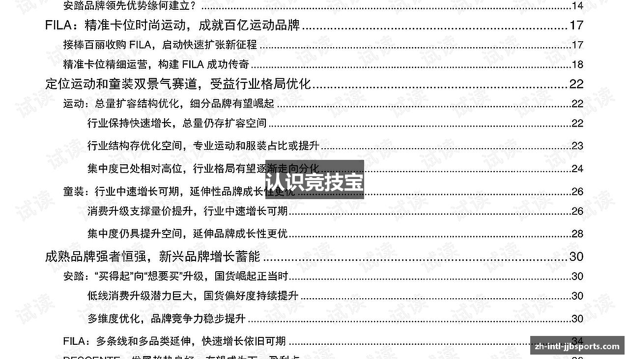 认识竞技宝